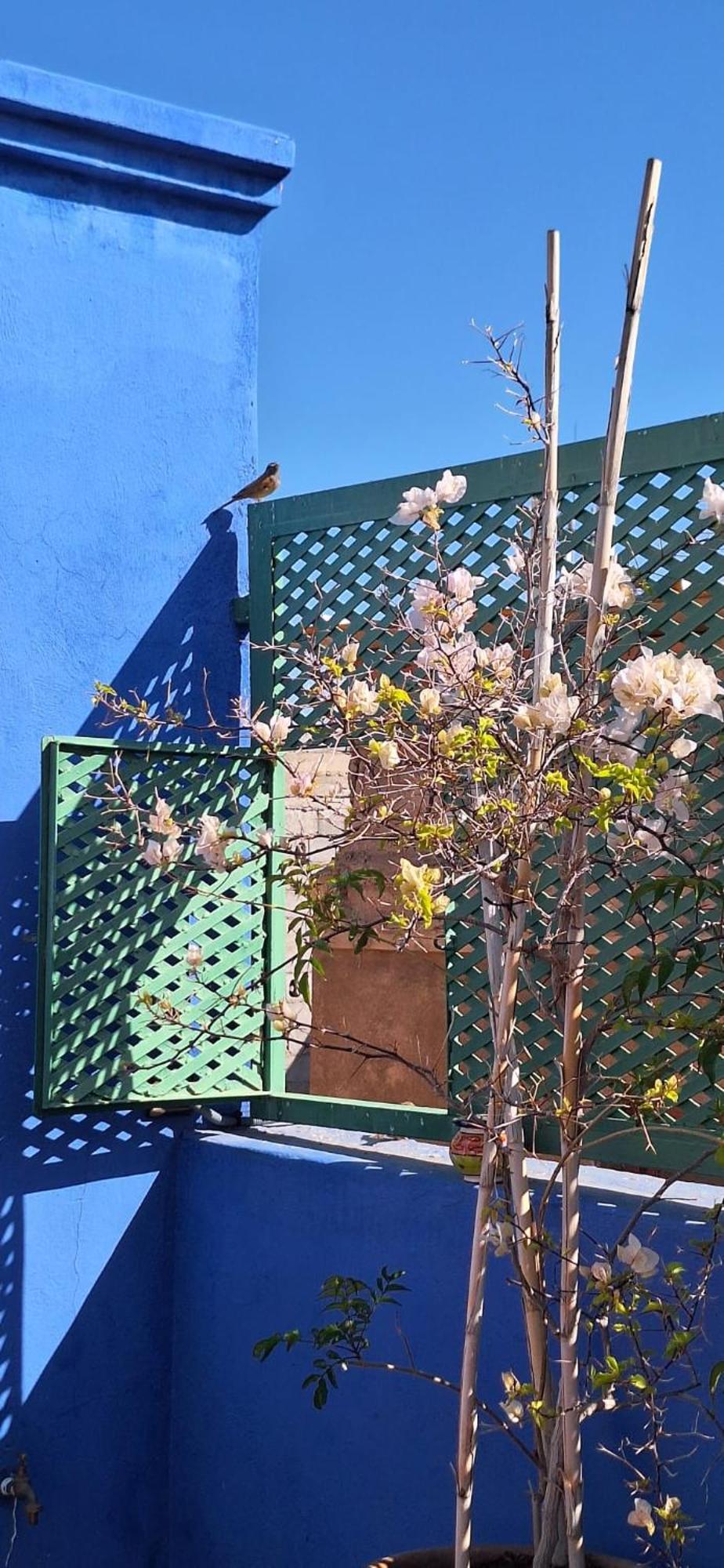 מרקש Riad Med Agora מראה חיצוני תמונה